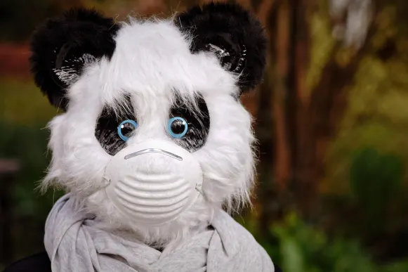 Casino Cyber Bingo Kundeservice